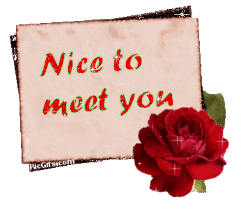Nice_to_Meet_You-sparkling-animaatjes-nice-to-meet-you-8068153.gif