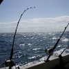 pesca-traina-costiera.jpg