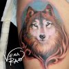 wolf tattoo.jpg
