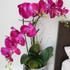 Orchidea-Pink