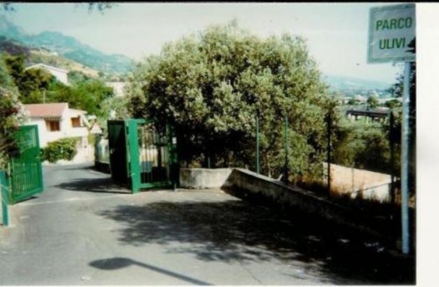 entrata  secondaria  di Parco degli ulivi.jpg