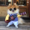 Gitarre-Hund-Kleidung-Lustige-Pet-Weihnachten-Kost-m-f-r-Kleine-Mittelgro-e-Hunde-Kost-m.jpg_640x640.jpg