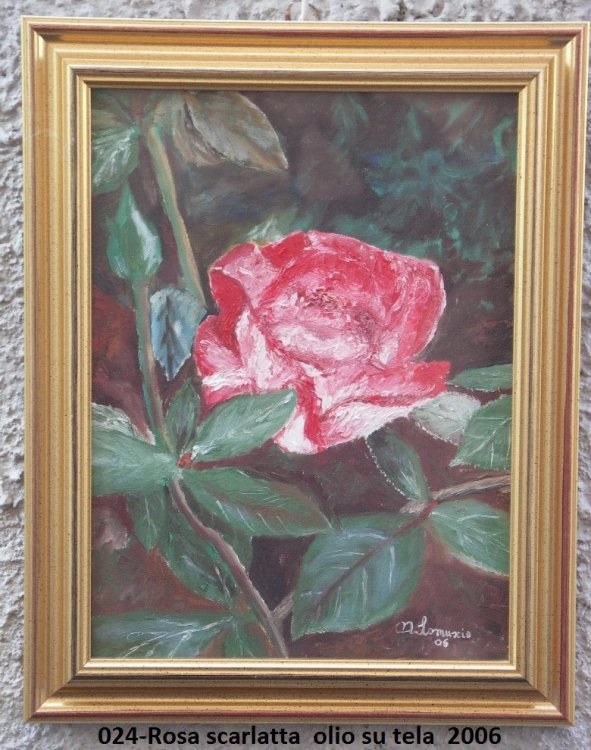 024-Rosa scarlatta - olio su tela - 2006.jpg