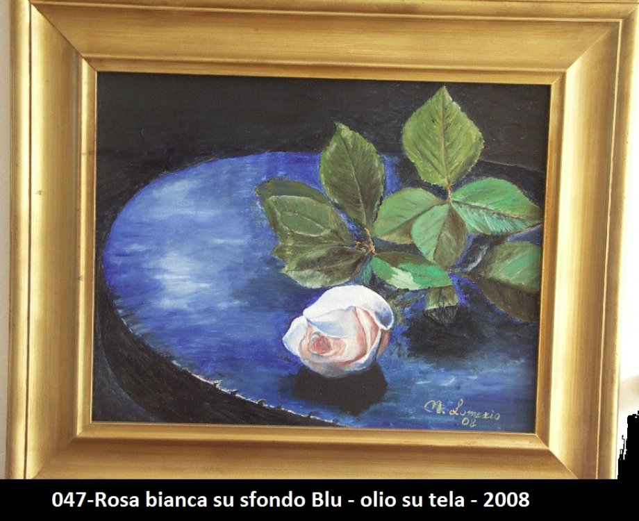 047-Rosa bianca su sfondo Blu - olio su tela - 2008.JPG