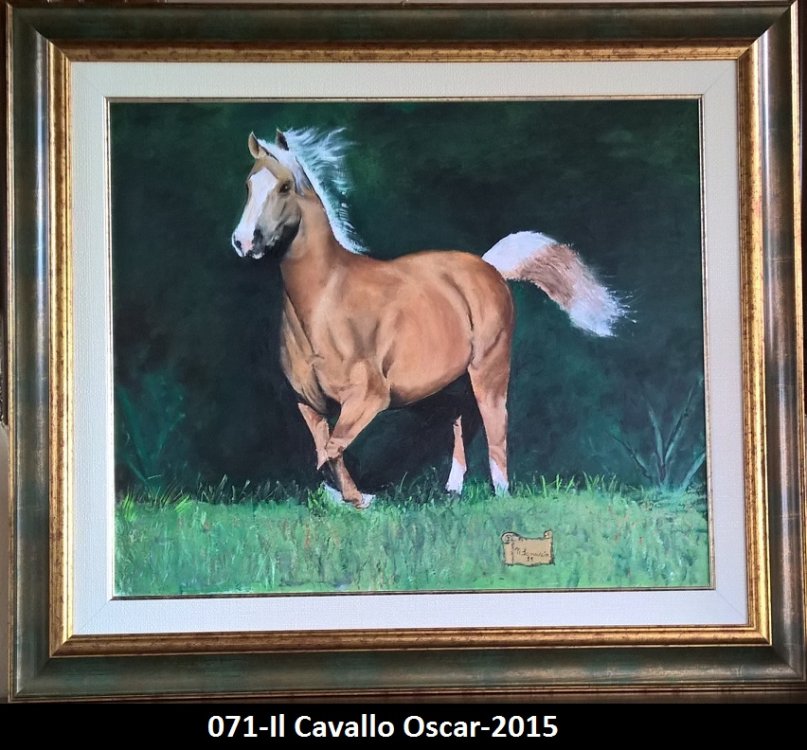 071-Il Cavallo Oscar-2015.jpg