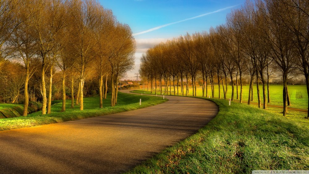 road_between_field_and_forest-wallpaper-1920x1080.jpg