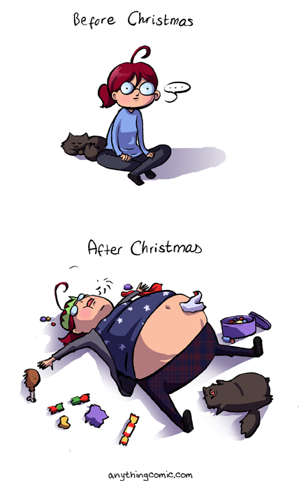 funny-picture-before-christmas-after-christmas.png