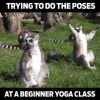 Yoga e meme :D