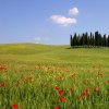 Val d'Orcia, mon amour