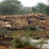 Kenya. Pastori e il loro bestiame