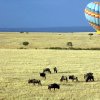 Kenya. Safari in mongolfiera
