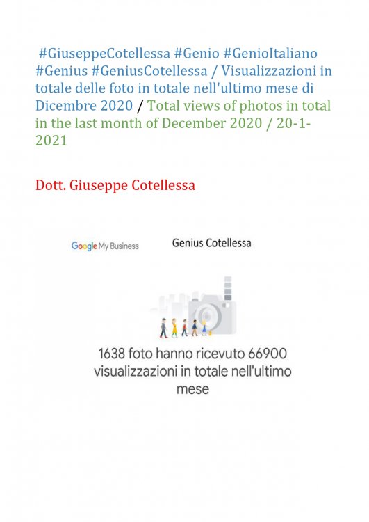 Genius Cotellessa visualizzazioni numero di foto dicembre 2020_page-0001.jpg