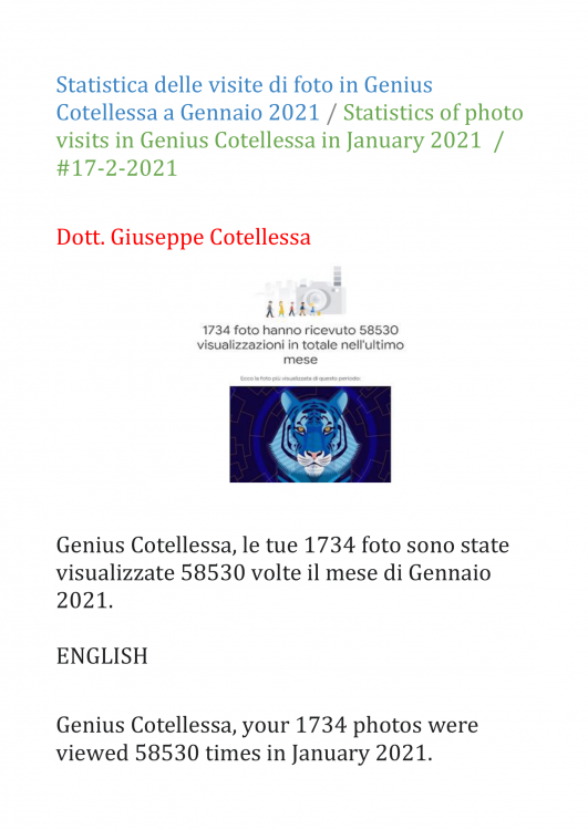 #17-2-2021 bis Statistica delle visite di foto in Genius Cotellessa a Gennaio 2021-1.png