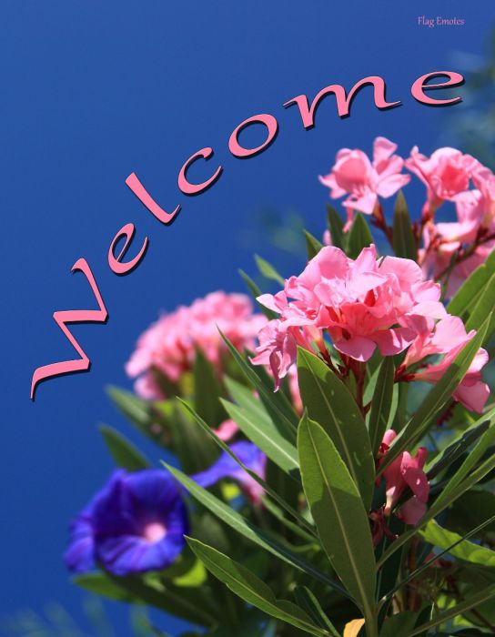 flag-emotes-double-sided-garden-flag-pink-flowers-welcome.jpg