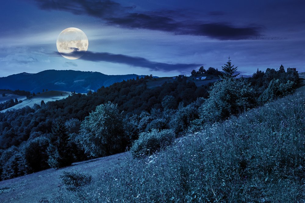 Sky_Mountains_Forests_Night_Moon_Grass_585387_1280x853.jpg