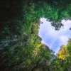 heart-shaped-photography-sky-rain-forest-nature-background_56644-435.jpg