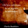 aforismi-sul-vino-rosso-charles-baudelaire.jpg