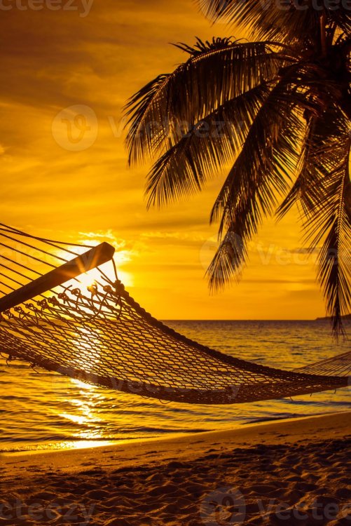 1355940-amaca-con-palme-su-una-bellissima-spiaggia-al-tramonto-foto.thumb.jpg.4ed050b80afcb905f243c3c4c9f418bb.jpg