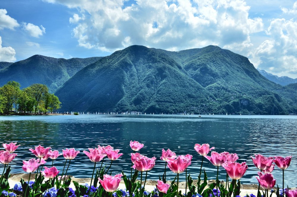 Switzerland-Lugano-Sailboat-Regatta-Lake-Lugano.jpg