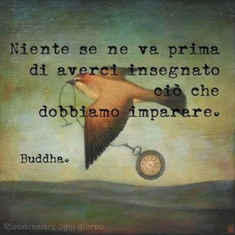 immagini-Frasi-Buddha.jpg