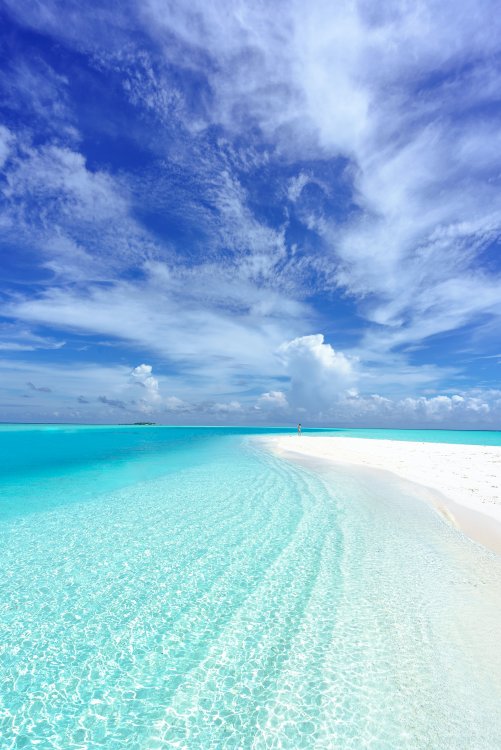 pexels-asad-photo-maldives-3250614.jpg
