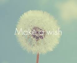 make a wish.jpg