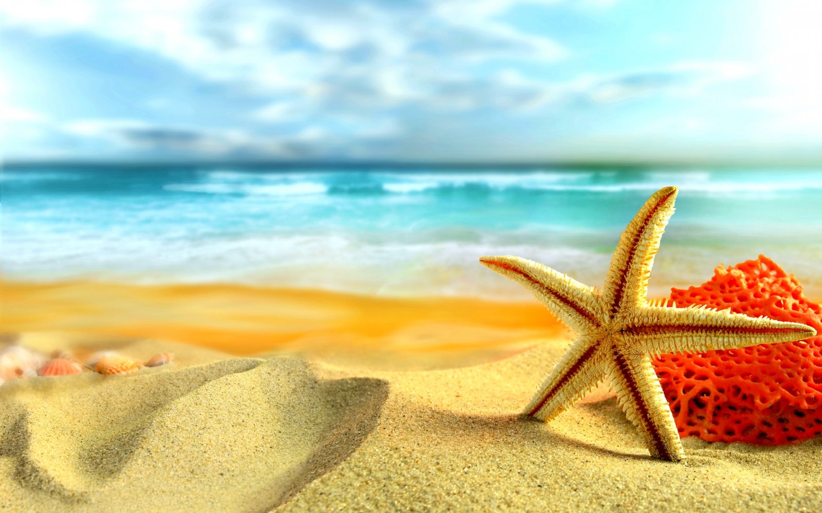 Sfondi-HD-spiaggia-estate-e-stella-marina 3.jpg