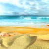 Sfondi-HD-spiaggia-estate-e-stella-marina 3.jpg