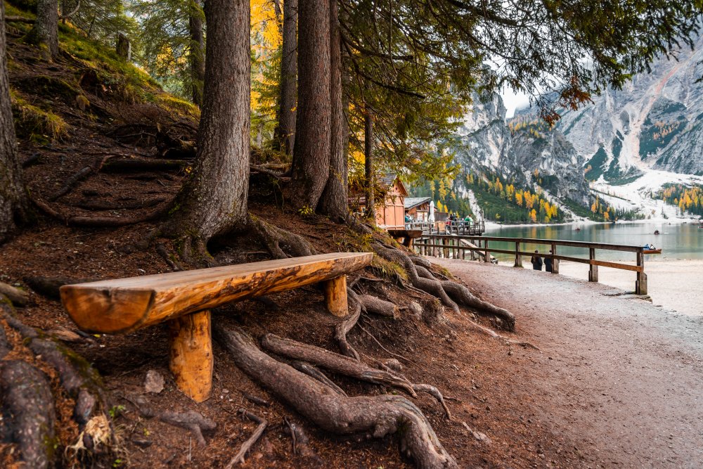 wooden-bench-near-lago-di-braies-picjumbo-com.jpg