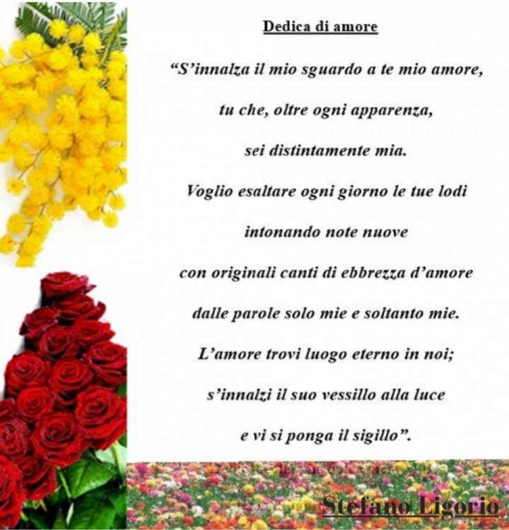 Poesie (brevi) di Stefano Ligorio – Dedica di amore..png