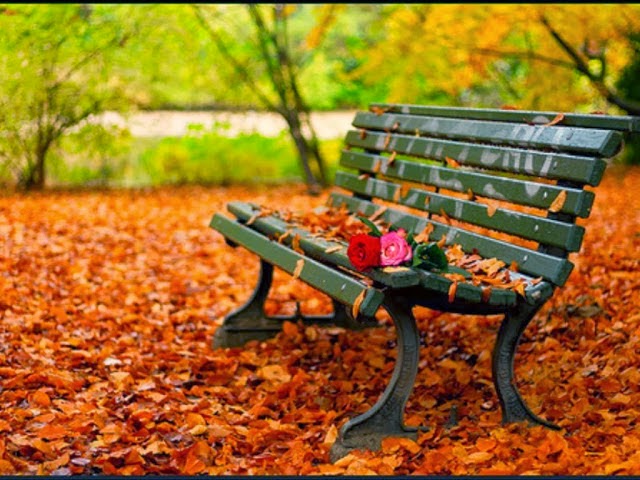 ottobreRomantic-autumn-daydreaming-18932448-1024-768.jpg.edda159118078b9202f4c5a312a510a5.jpg