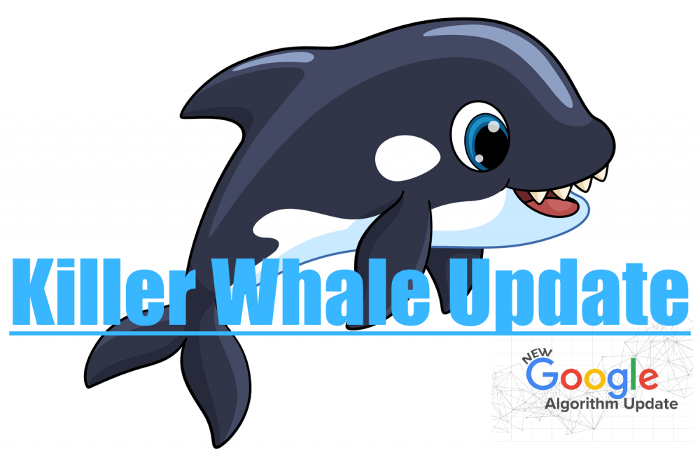 Killer Whale Update.png