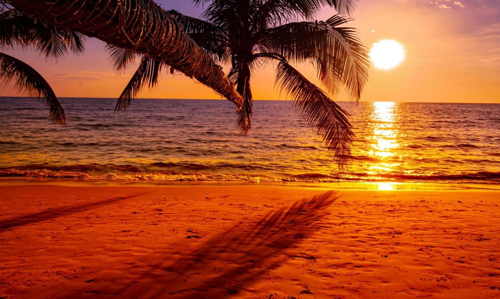beautiful-sunset-on-the-beach-with-palm-tree-for-travel-and-vacation-free-photo.jpg