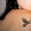 raven-tattoos-and-meanings-raven-tattoo-designs-and-ideas-raven-tattoo-pictures.jpg
