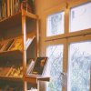 free-photo-of-libri-finestre-windows-finestra.jpeg